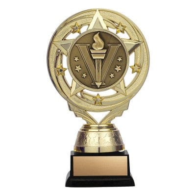Activity Trophy - Matrix Insert - Gold or Silver - 5 1/2