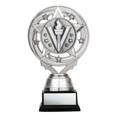 Activity Trophy - Matrix Insert - Gold or Silver - 5 1/2