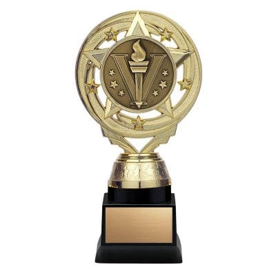 Activity Trophy - Matrix Insert - Gold or Silver - 6 3/4