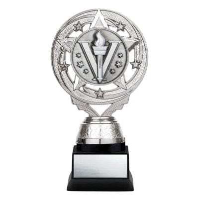 Activity Trophy - Matrix Insert - Gold or Silver - 6