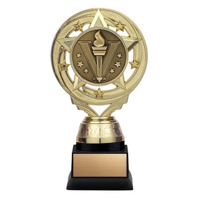 Activity Trophy - Matrix Insert - Gold or Silver - 6