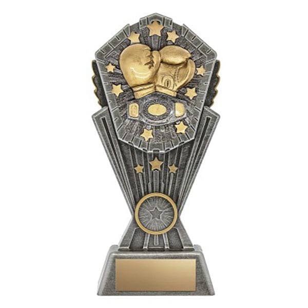Boxing Trophy - Cosmos Series (A6177) 8