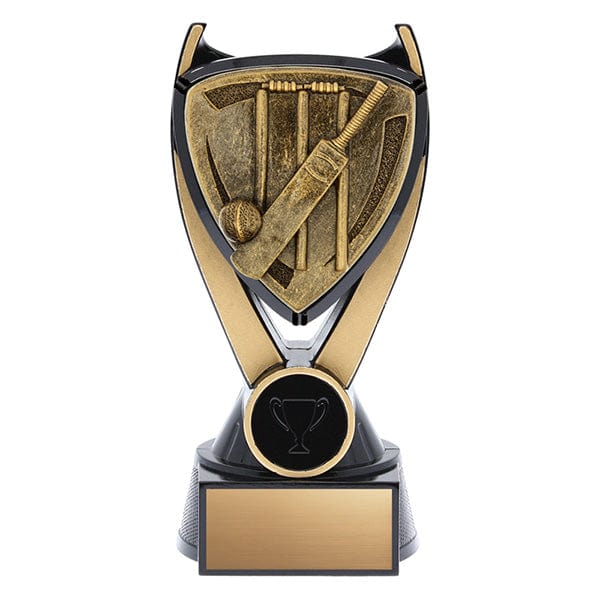 Cricket Trophy - Spirit Series - 3 Sizes (A6192) 6