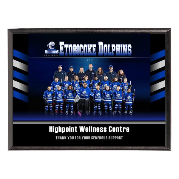 Plaque - Custom Sponsor Plaques  - Portrait or Landscape - 2 Sizes (A6189) Plaque Quest Awards - Plaque