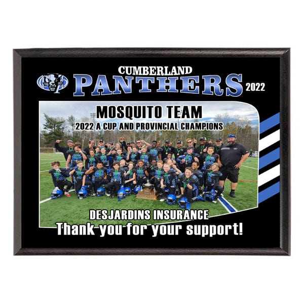 Plaque - Custom Sponsor Plaques  - Portrait or Landscape - 2 Sizes (A6189) Plaque Quest Awards - Plaque