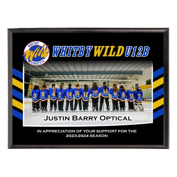 Plaque - Custom Sponsor Plaques  - Portrait or Landscape - 2 Sizes (A6189) Plaque Quest Awards - Plaque