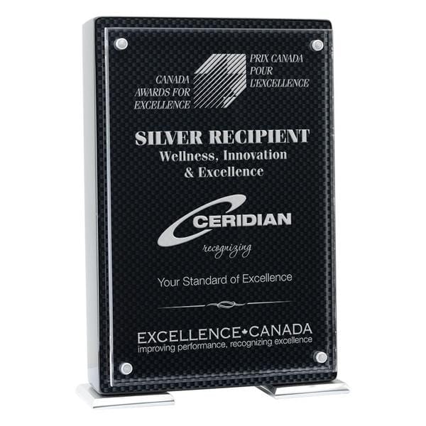 Acrylic Award - Vista, Carbon Fiber (A3399) - Quest Awards