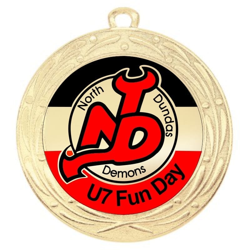 Medals - Colour Logo Medal Iron Series 2.75