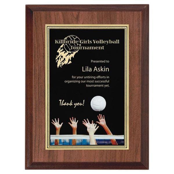 Volleyball Plaque - Full Colour Activity 6